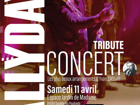 Dans les Yeux de Johnny - Concert Tribute