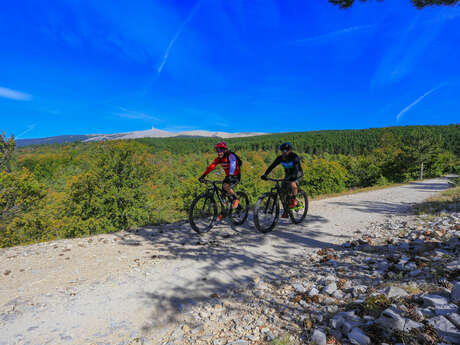 VTT n°00 - Montée du Ventoux Ouest