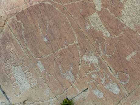 Escursione con visita guidata alle incisioni rupestri delle valli Merveilles e Fontanalba, avvicinamento motorizzato, Luc Fioretti