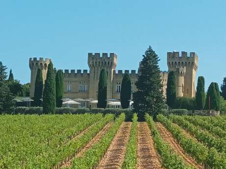 Châteauneuf du pape, son célèbre vignoble et ses illustres personnages : Balade accompagnée à vélo