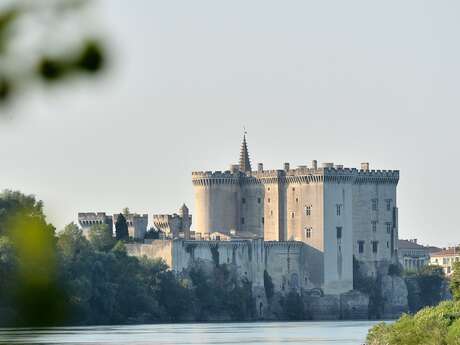 Excursion à Tarascon : Une vie de Château