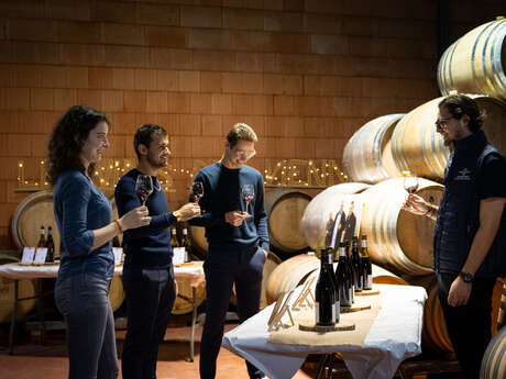 Culture et Vin au Domaine Clusel-Roch