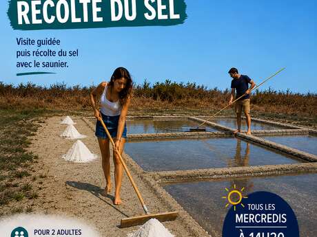 Taller para adultos: Recolección de sal con el Ecomuseo de las Salinas