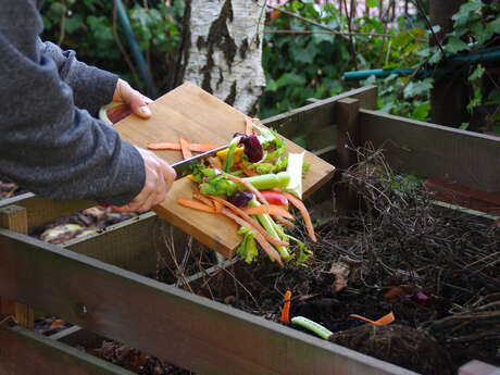 Plongée dans le compost