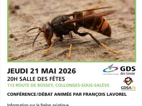 Conférence sur le Frelon asiatique