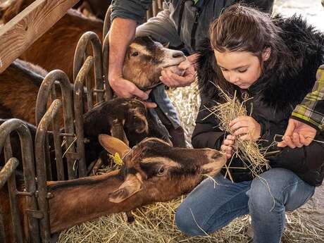 12e Printemps des Chèvres
