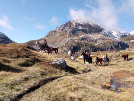 Thomas and Elsa's horse farm