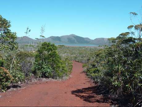 Trail 9 - Plain of Lakes to Netcha Loops Trail