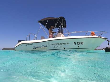 Aimeho fa'ati - Private boat tours - Whale watching tour
