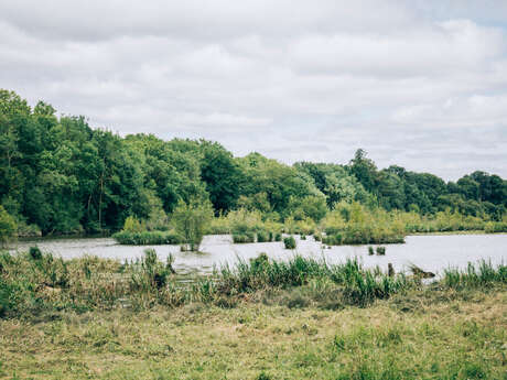 Marais de Montreuil-Juigné