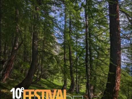 Festival de l'Alpage : Offrez vous un bain de forêt