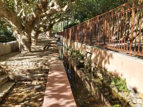 Font du Thon & Parc des frères Tocasso