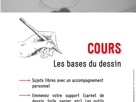 Cours : Les Bases Du Dessin
