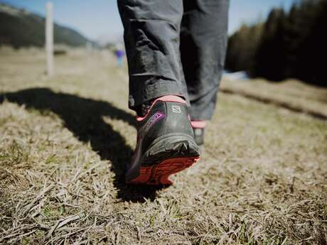 Trail