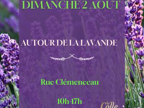 Fête de la lavande
