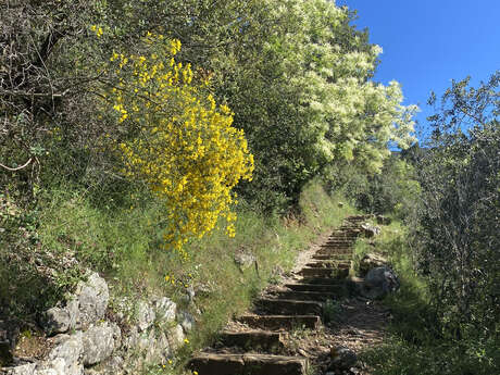 Sentier de Nietzsche