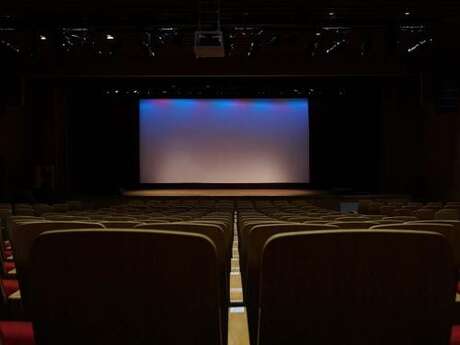 Projection de film :  Maquisards