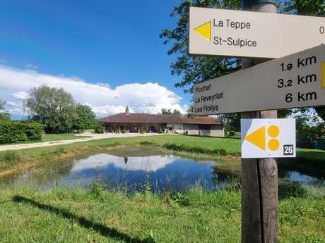 Circuit VTTAE n°26 (noir) - Tour de St Didier d'Aussiat