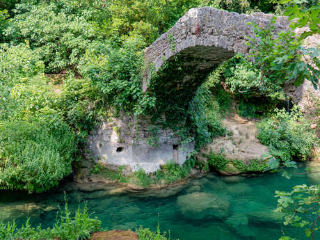 Pont des Tuves