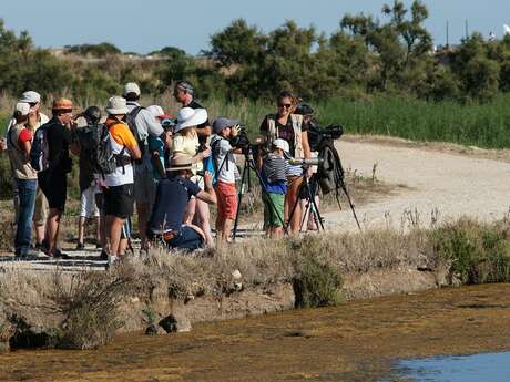 Nature outings : discover biodiversity with an LPO guide (League for the Protection of Birds)