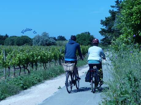 Visiter 17 - Visite guidée privée - Au pays des vignerons rétais