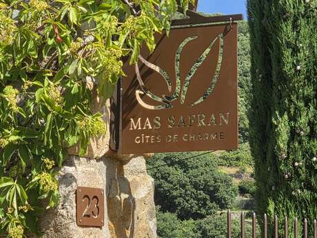 Mas Safran