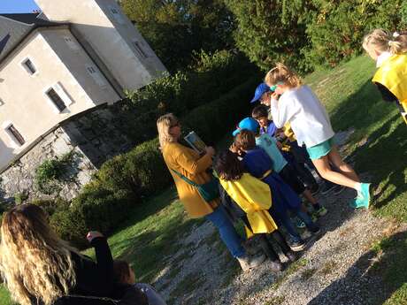 Special family tours