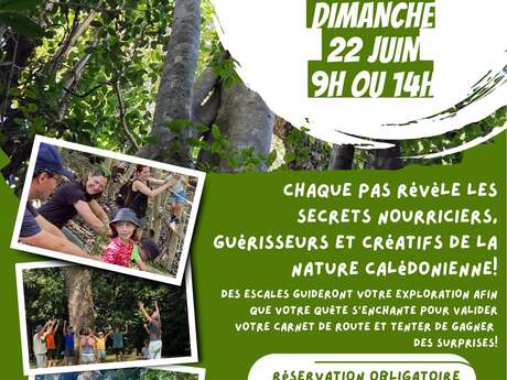 Parcours nature familial, chaque pas révèle les secrets nourriciers, guérisseurs et créatifs de la nature calédonienne