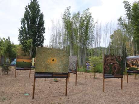 Jep 2026 : Exposition "La Terre Vue du Ciel" Yan Arthus Bertrand