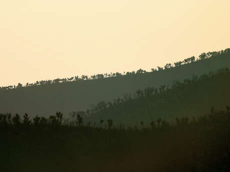 Massif des Maures