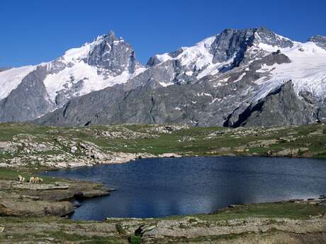 Les montagnes de notre littérature – Festival "Lire les Montagnes"