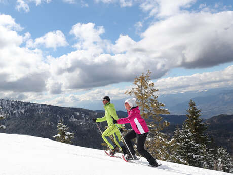 Tour de la colonie Tour de la colonie