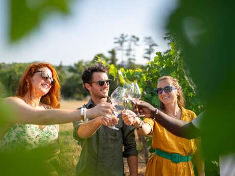 Azur Wine Tours
