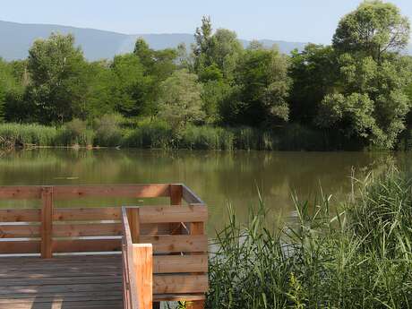 Marais de l'Étournel - Balade commentée