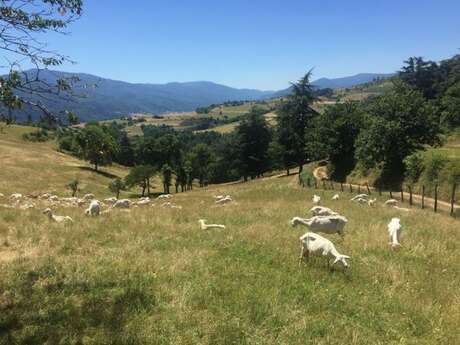 Tour de Fontbelle à vélo depuis Sisteron