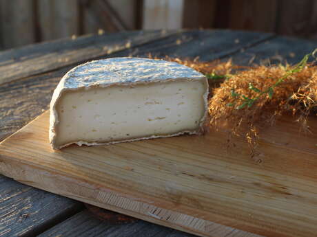 La chèvrerie de Lu'Ce