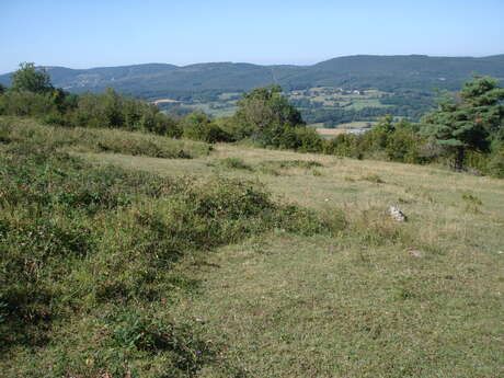 Les papillons des pelouses sèches de la RNN de la Grotte de Hautecourt