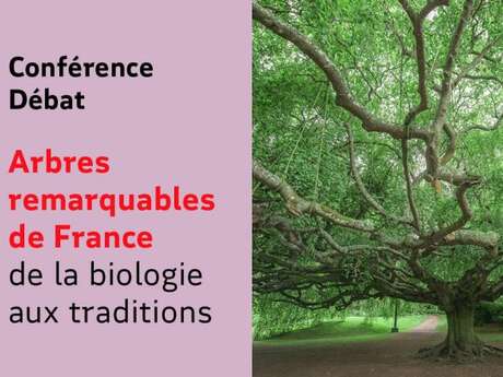 Conférence-débat "Abres remarquables de France"
