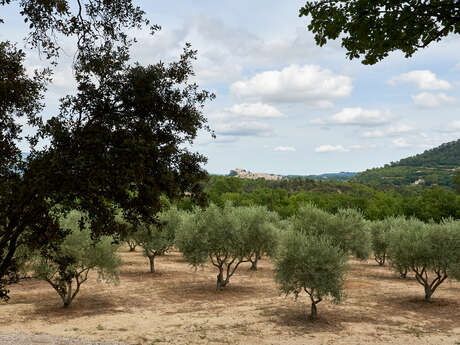 Maison Hi go - la ferme Hibride