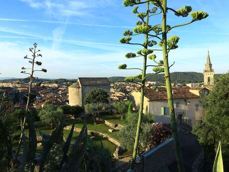 Un été au ciné : Minecraft, le film