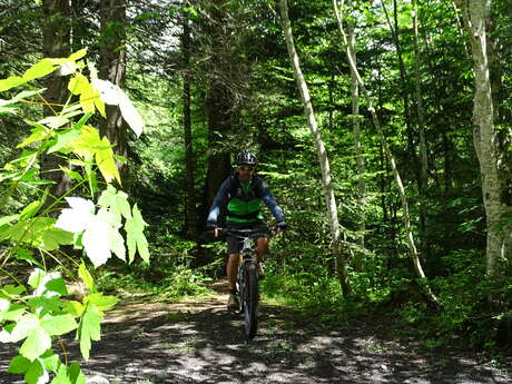Boucle du Pont des Nants - itinéraire n°28 en VTT