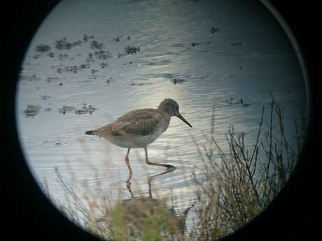 Walk along the nature reserve, nature outing in autonomy