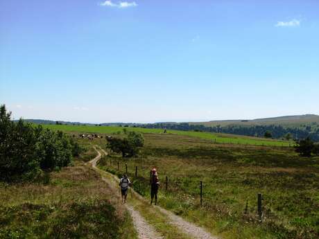 Réserve Naturelle Régionale des Jasseries de Colleigne
