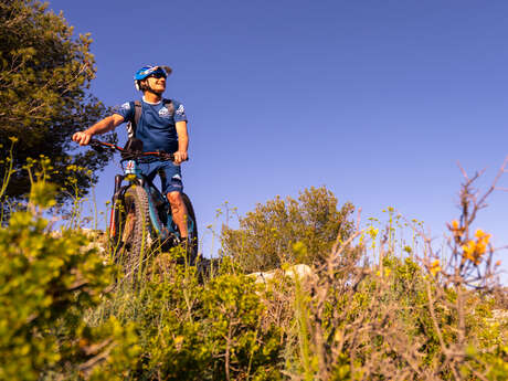 Provence Bike Tour