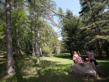 Aire de pique-nique de Notre-Dame de Bois vert