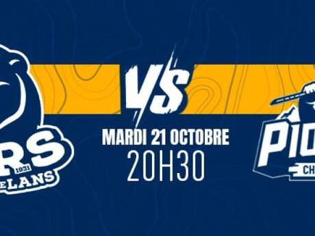 Match de Hockey sur glace - D1