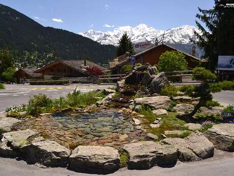 Bruchez Alpine Garden Sàrl