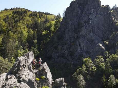 Eté 2025 - Bougez dans le Pilat - Via Ferrata adulte / Tyrolienne (à partir de 140 cm soit 10-12 ans) - Planfoy