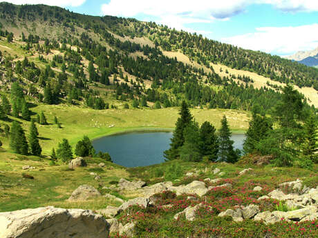 Lacs du Col Bas