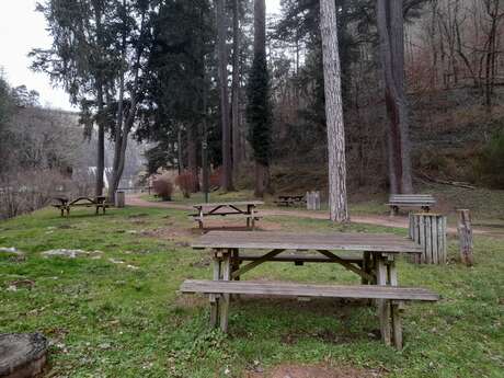 Essai Aire de pique nique Renaison/La Bernarde